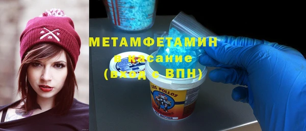 сатива Вяземский