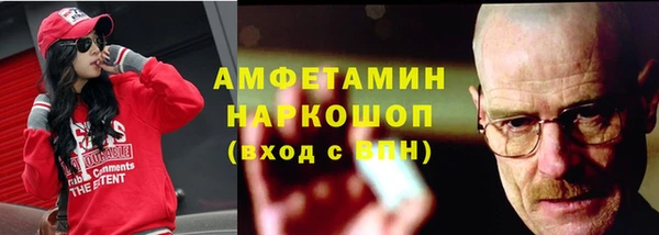 сатива Вяземский