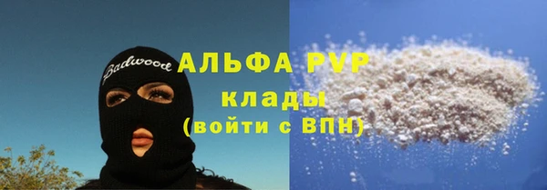 сатива Вяземский