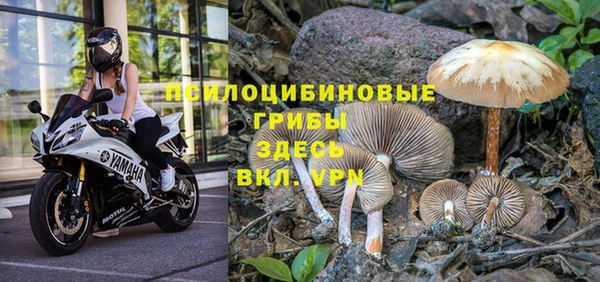 прущая мука Вязники